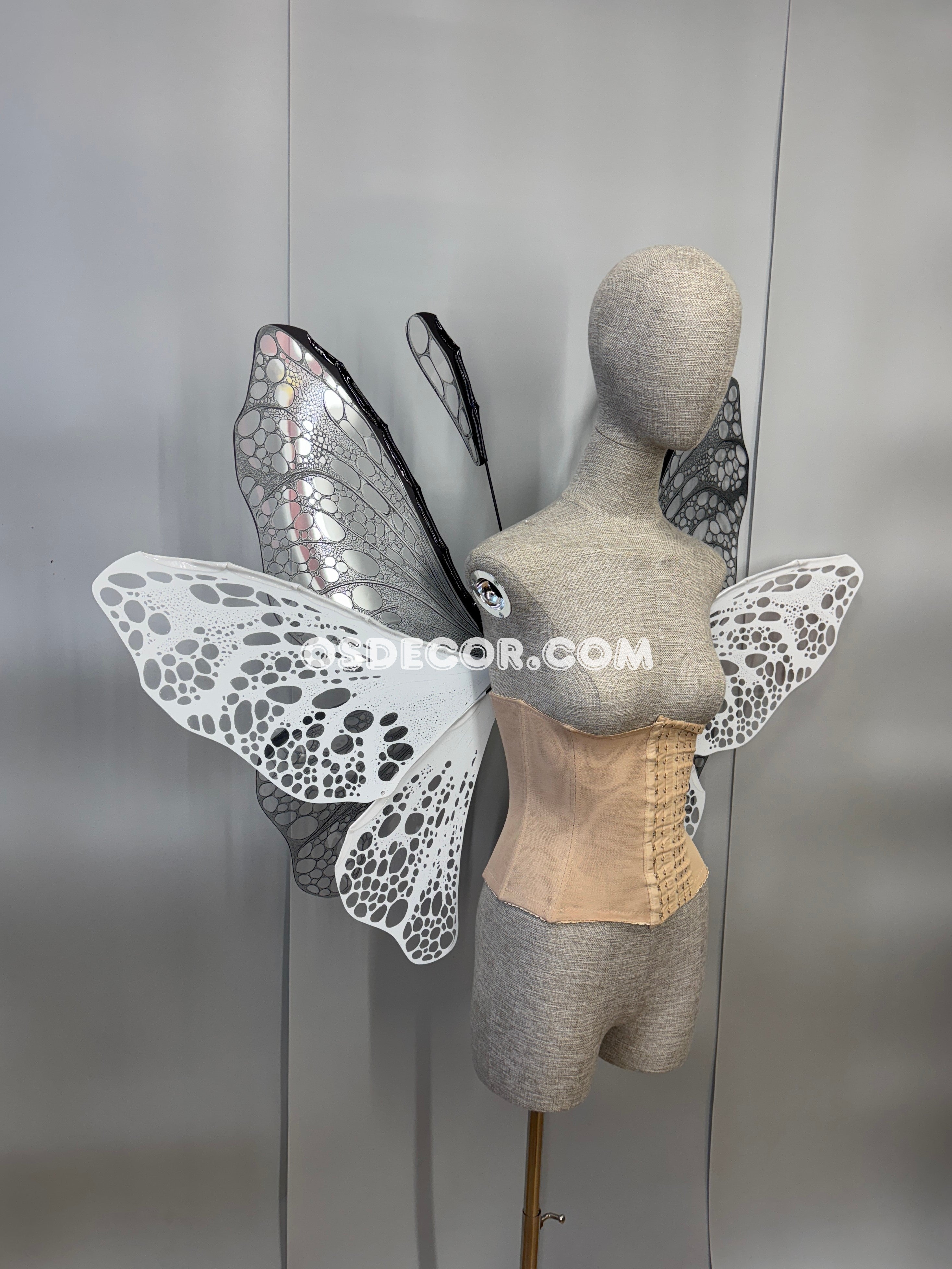 White Black Transparent Butterfly Wings