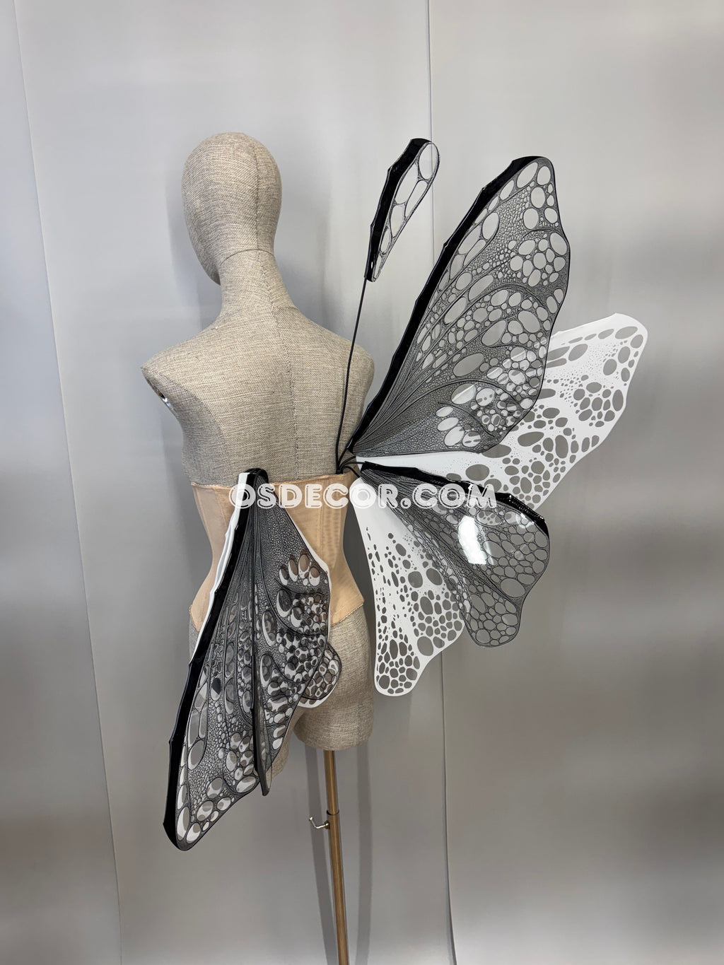 White Black Transparent Butterfly Wings