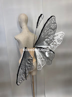 White Black Transparent Butterfly Wings