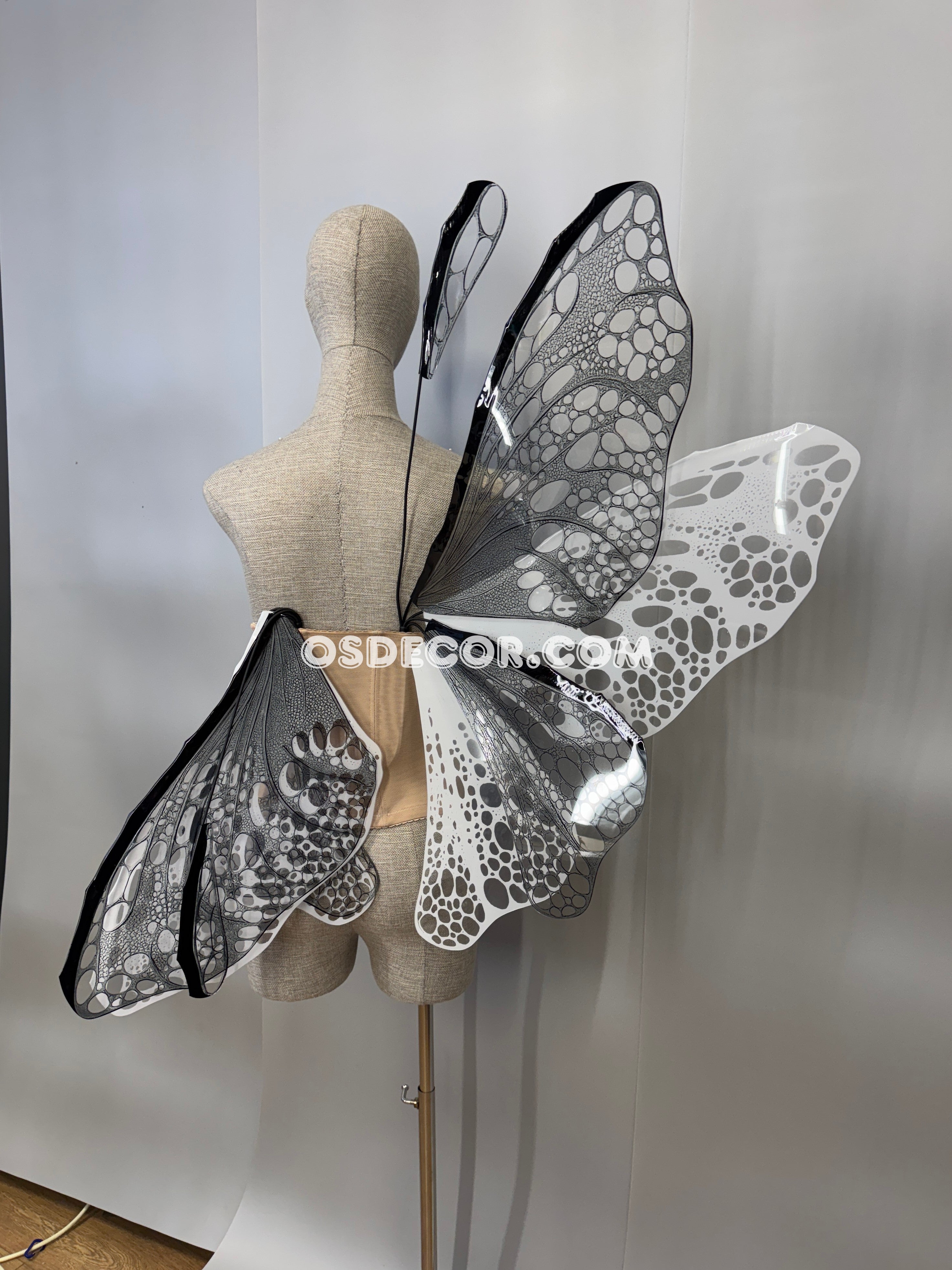 White Black Transparent Butterfly Wings