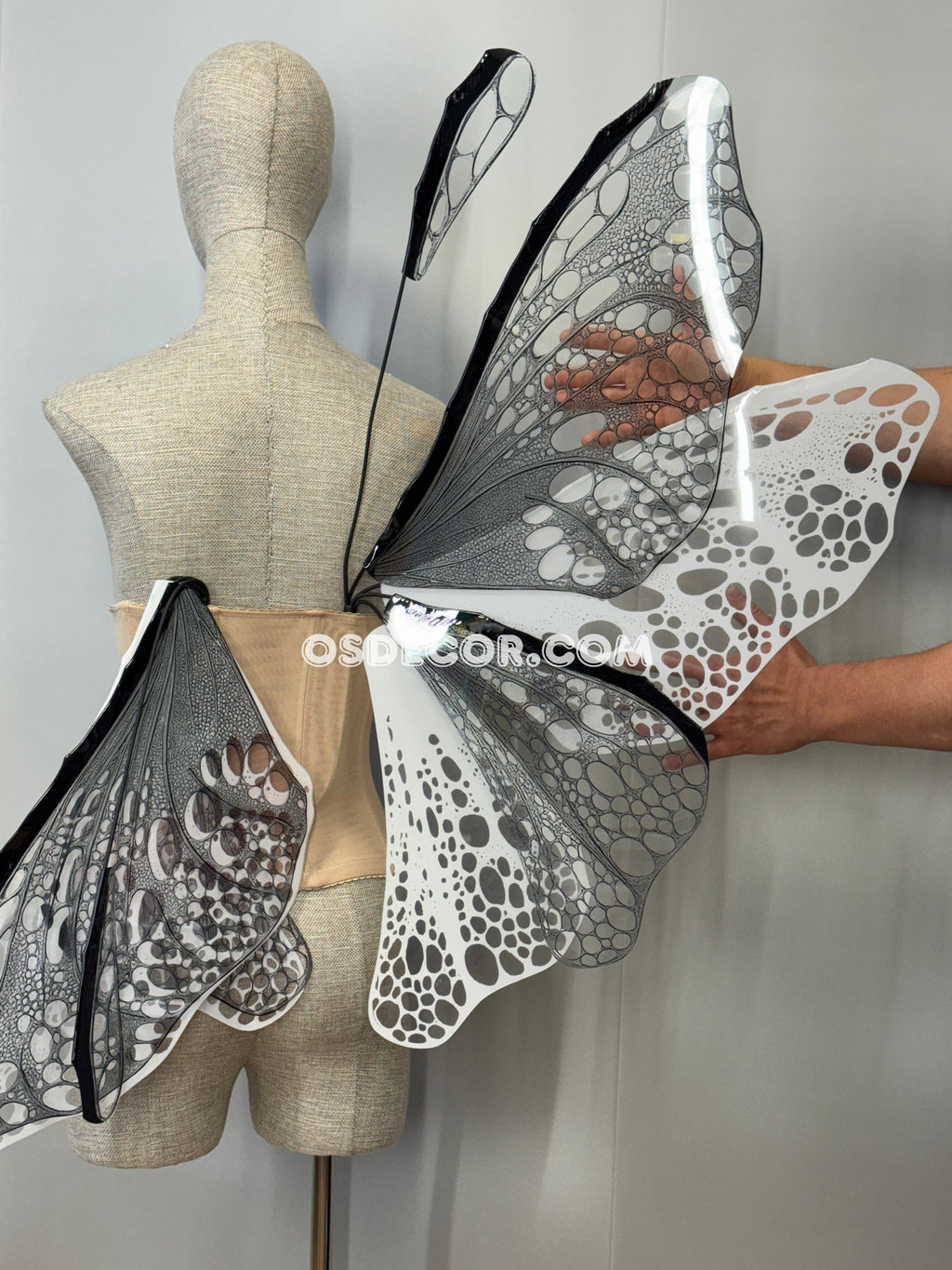 White Black Transparent Butterfly Wings