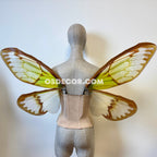 Green Brown Cicada Fairy Wings