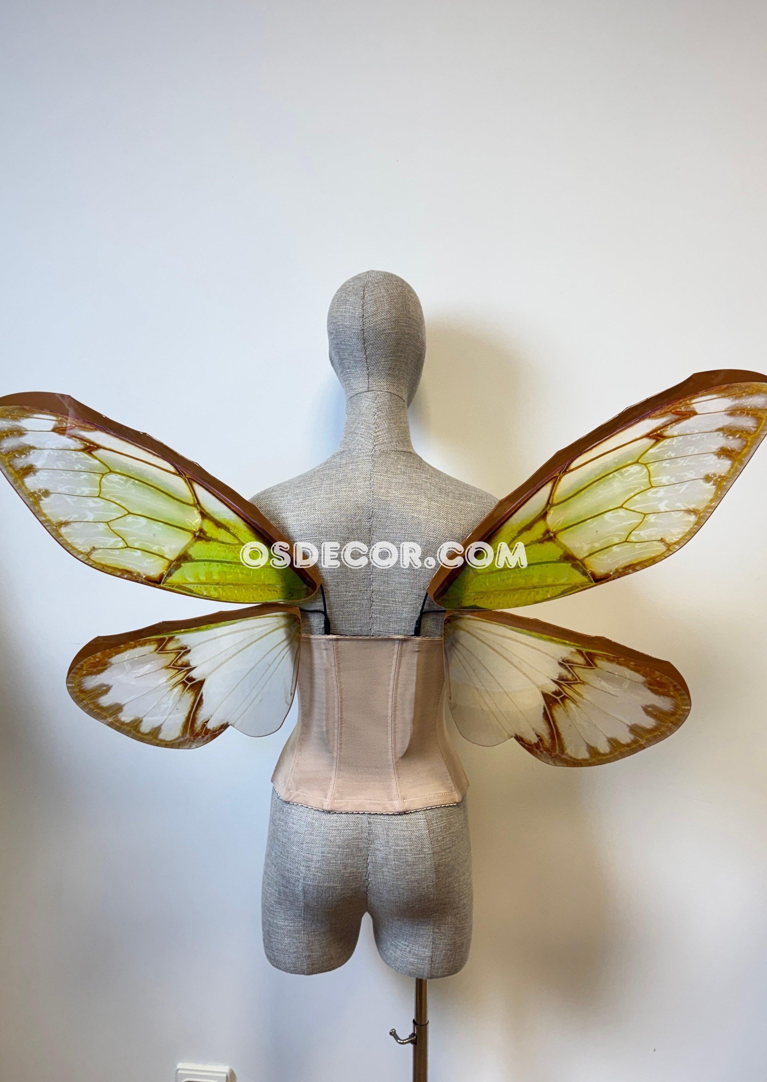 Green Brown Cicada Fairy Wings