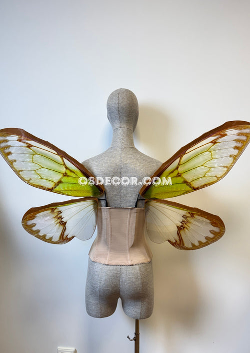 Green Brown Cicada Fairy Wings