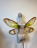 Green Brown Cicada Fairy Wings