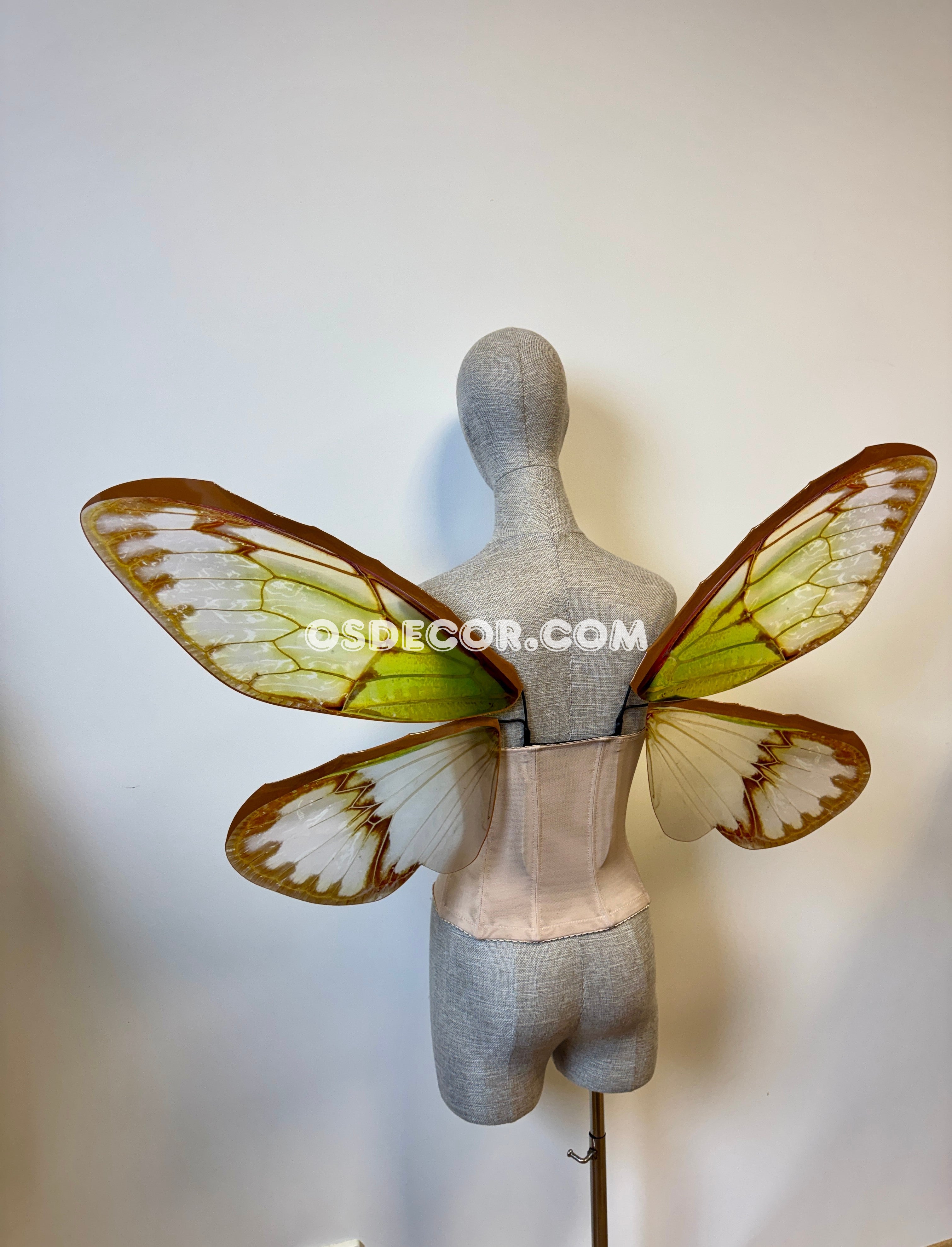 Green Brown Cicada Fairy Wings