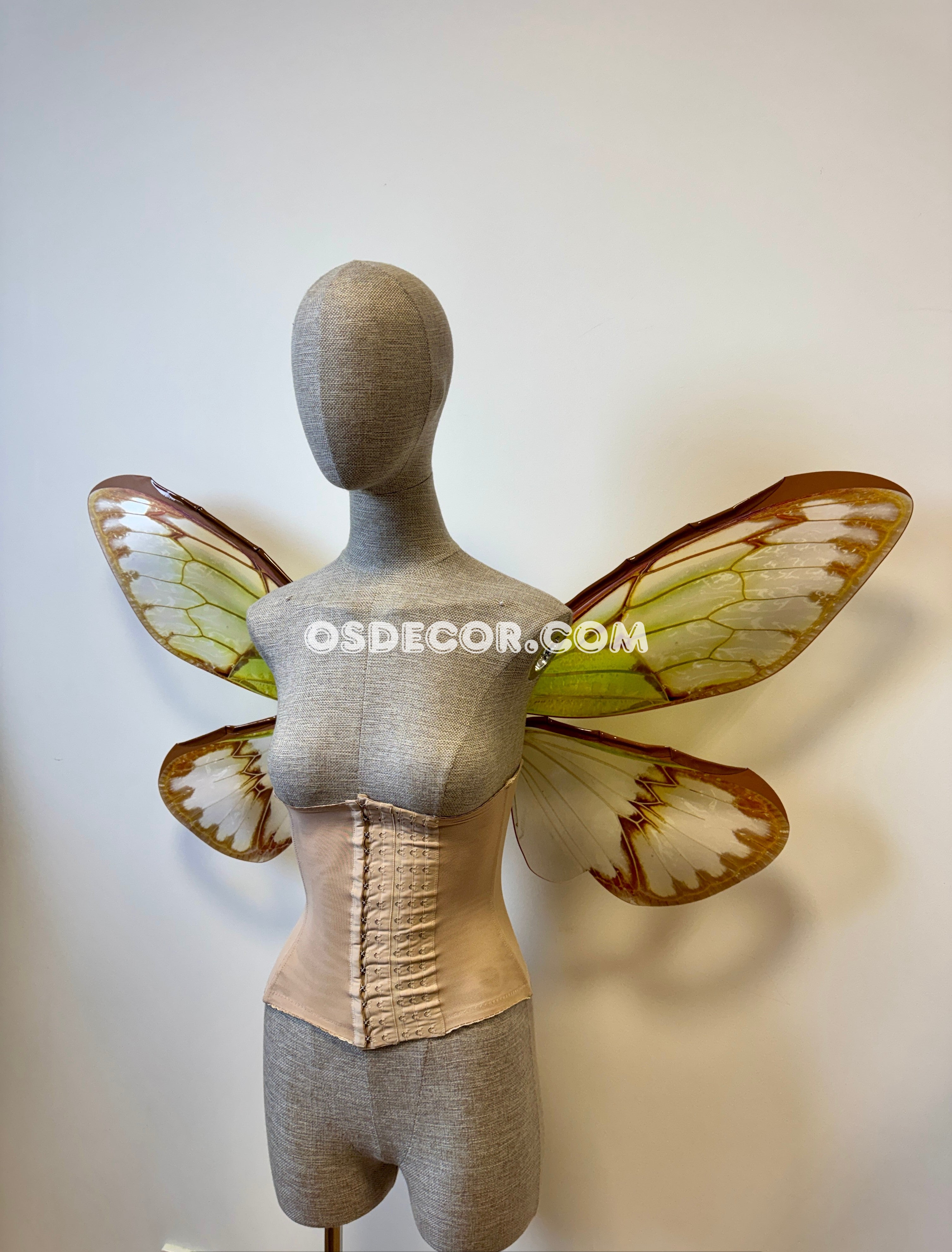 Green Brown Cicada Fairy Wings