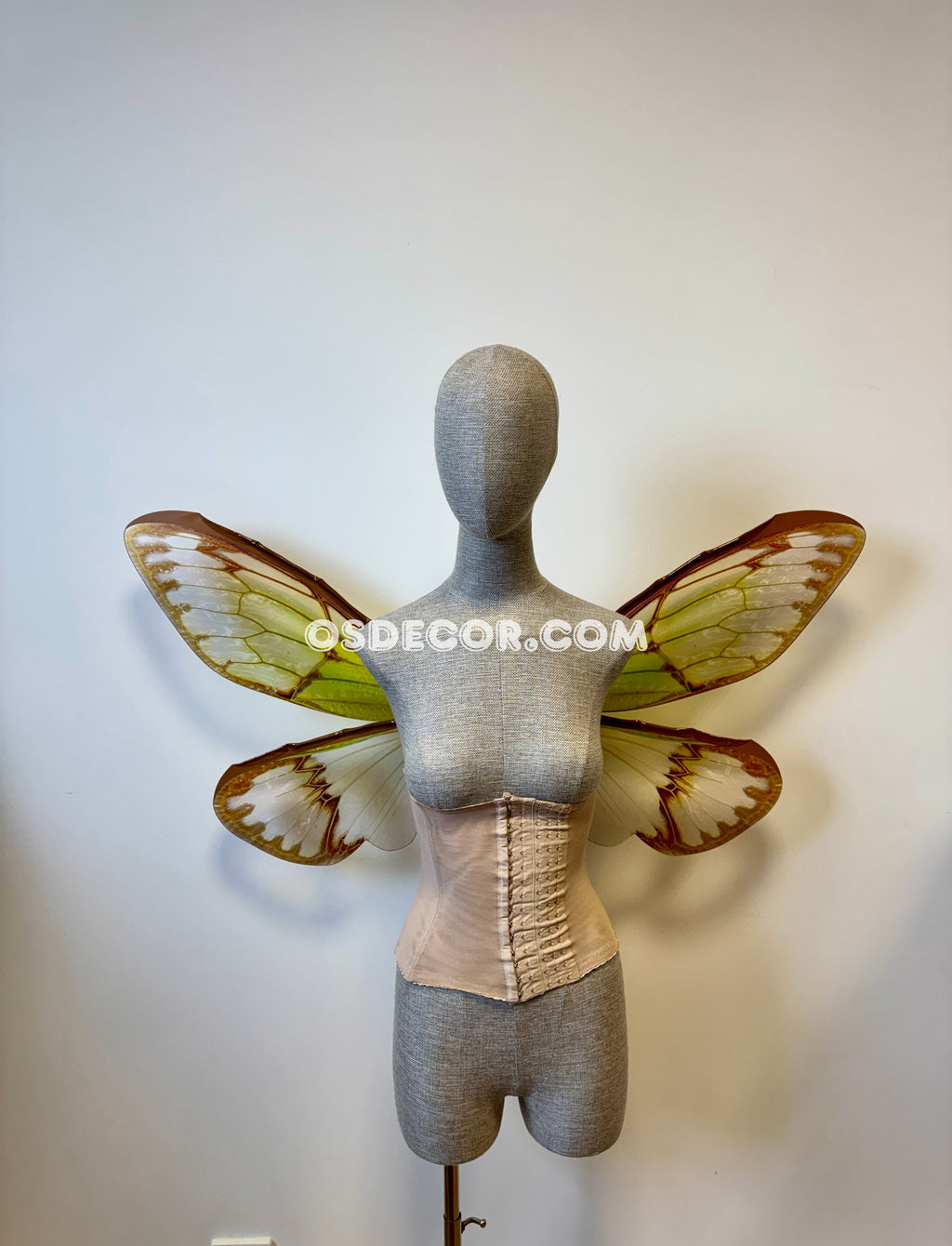 Green Brown Cicada Fairy Wings