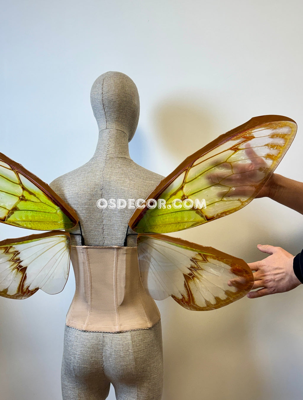Green Brown Cicada Fairy Wings