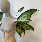 Green Enchanted Forest Fairy Wings