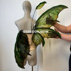 Green Enchanted Forest Fairy Wings