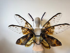 Orange Brown Moth Fairy Wings