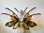 Orange Brown Moth Fairy Wings