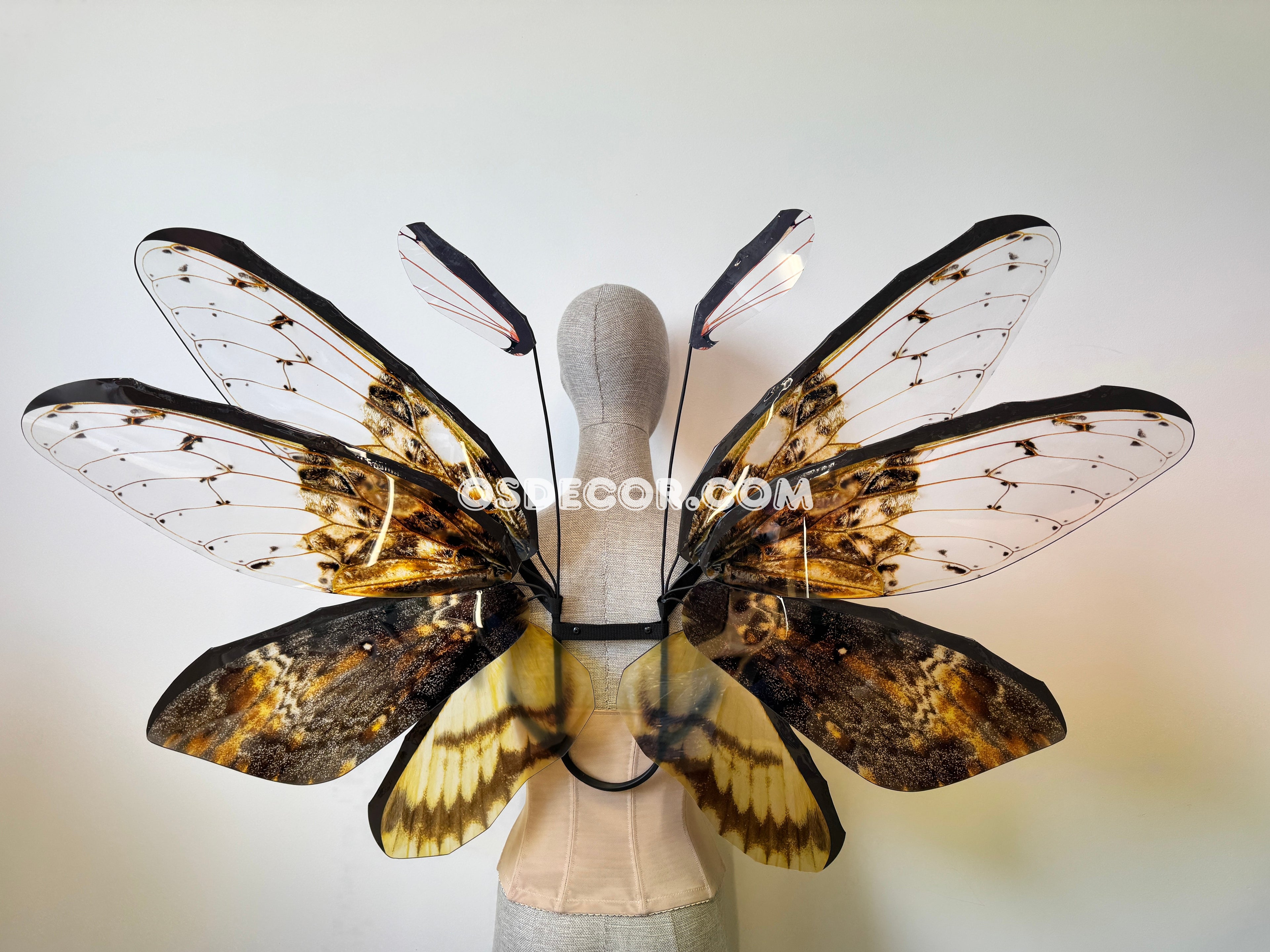 Orange Brown Moth Fairy Wings