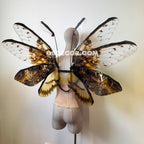 Orange Brown Moth Fairy Wings