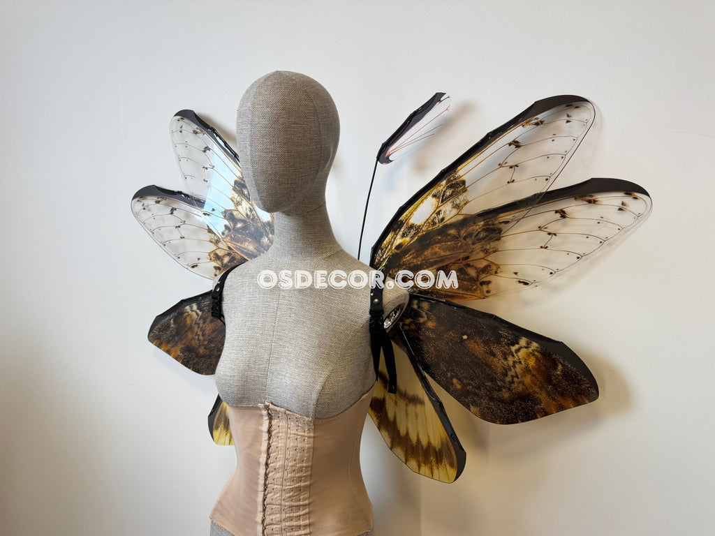Orange Brown Moth Fairy Wings