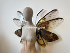 Orange Brown Moth Fairy Wings