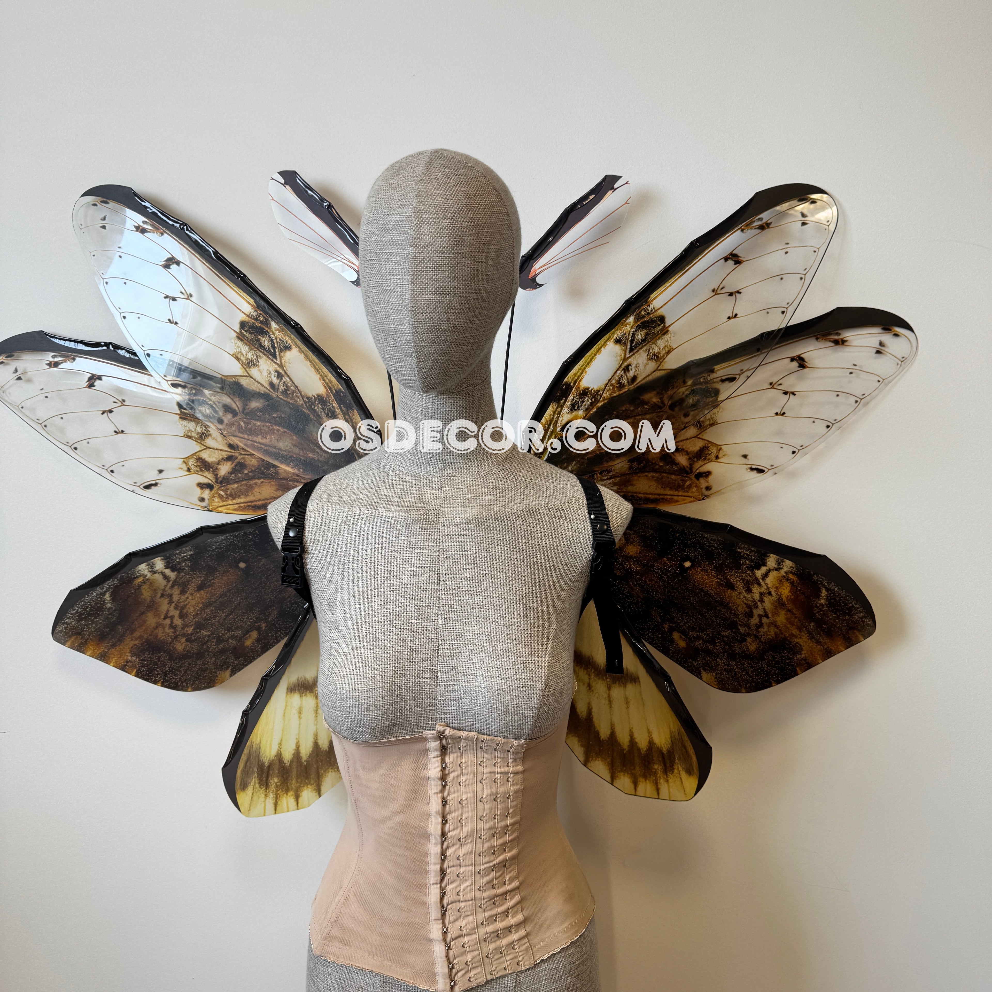 Orange Brown Moth Fairy Wings