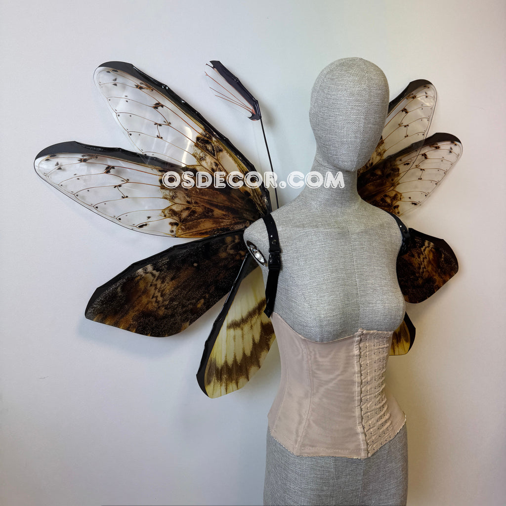 Orange Brown Moth Fairy Wings