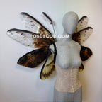 Orange Brown Moth Fairy Wings
