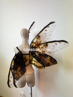 Orange Brown Moth Fairy Wings