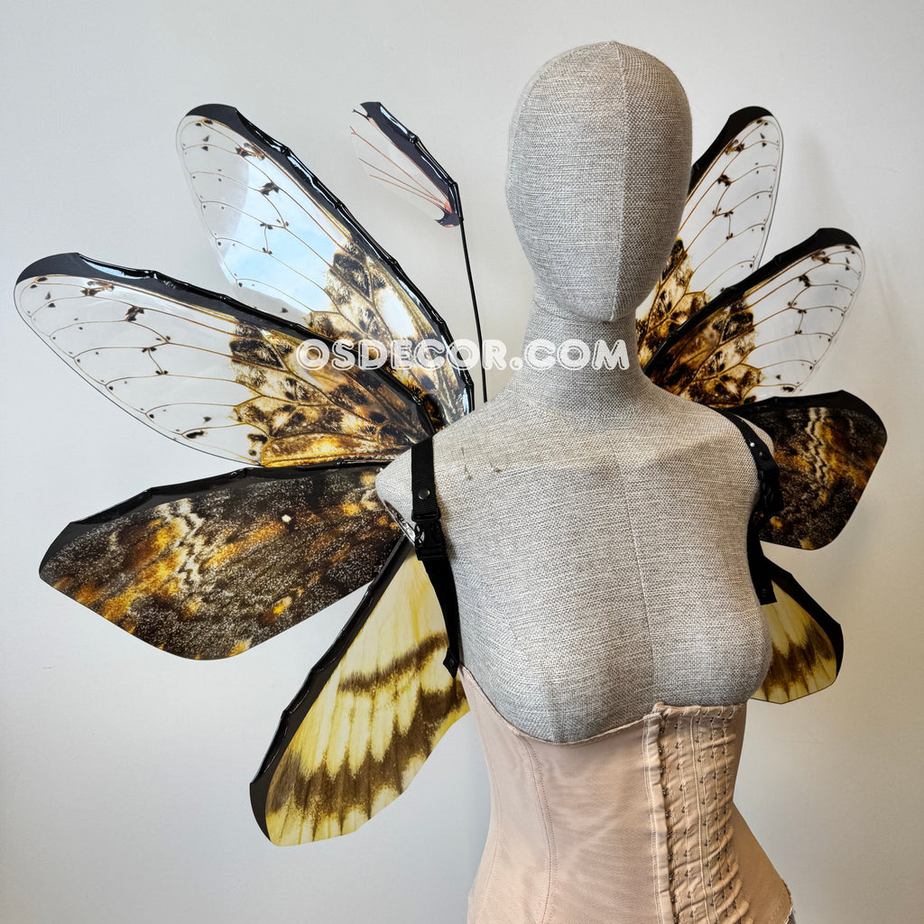 Orange Brown Moth Fairy Wings