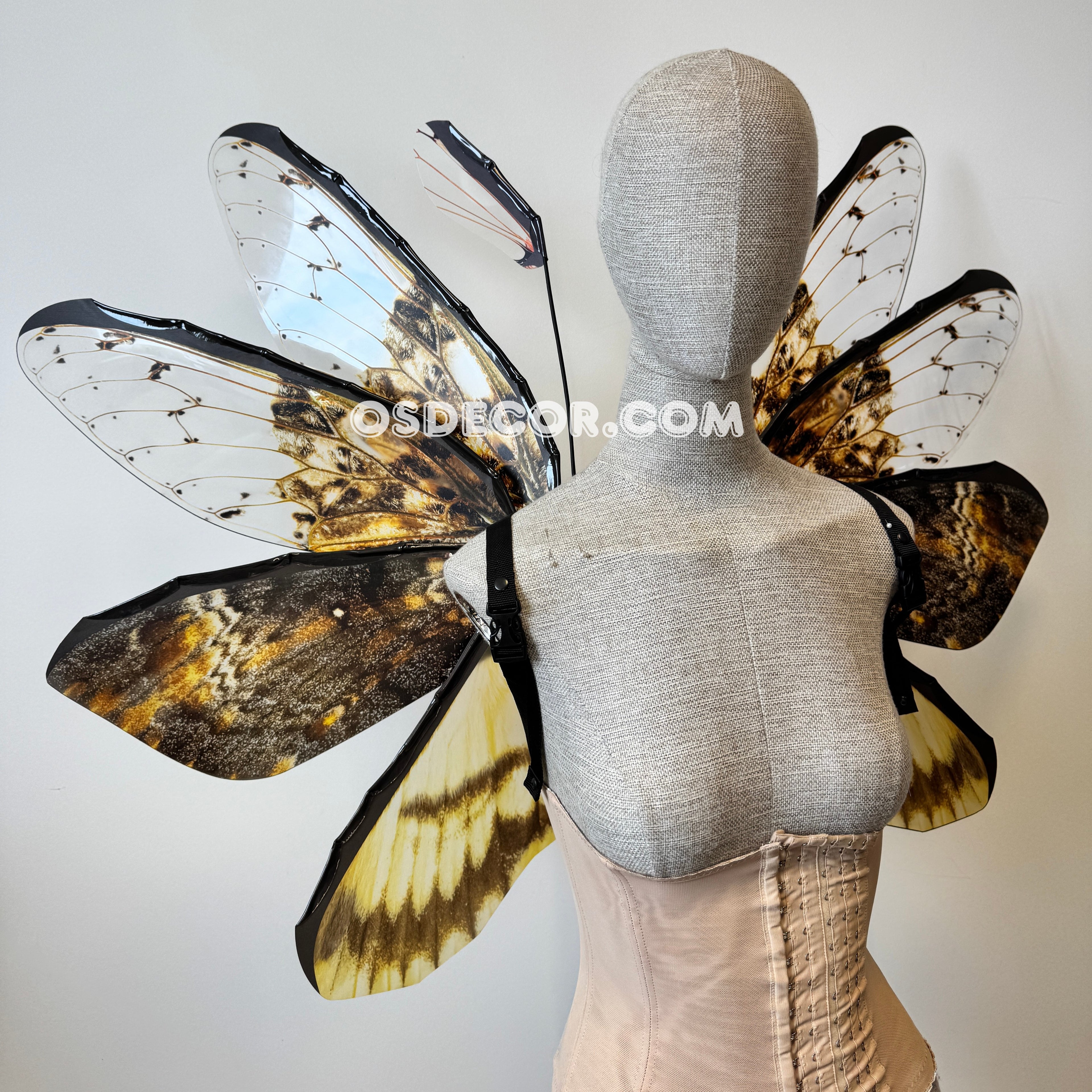 Orange Brown Moth Fairy Wings