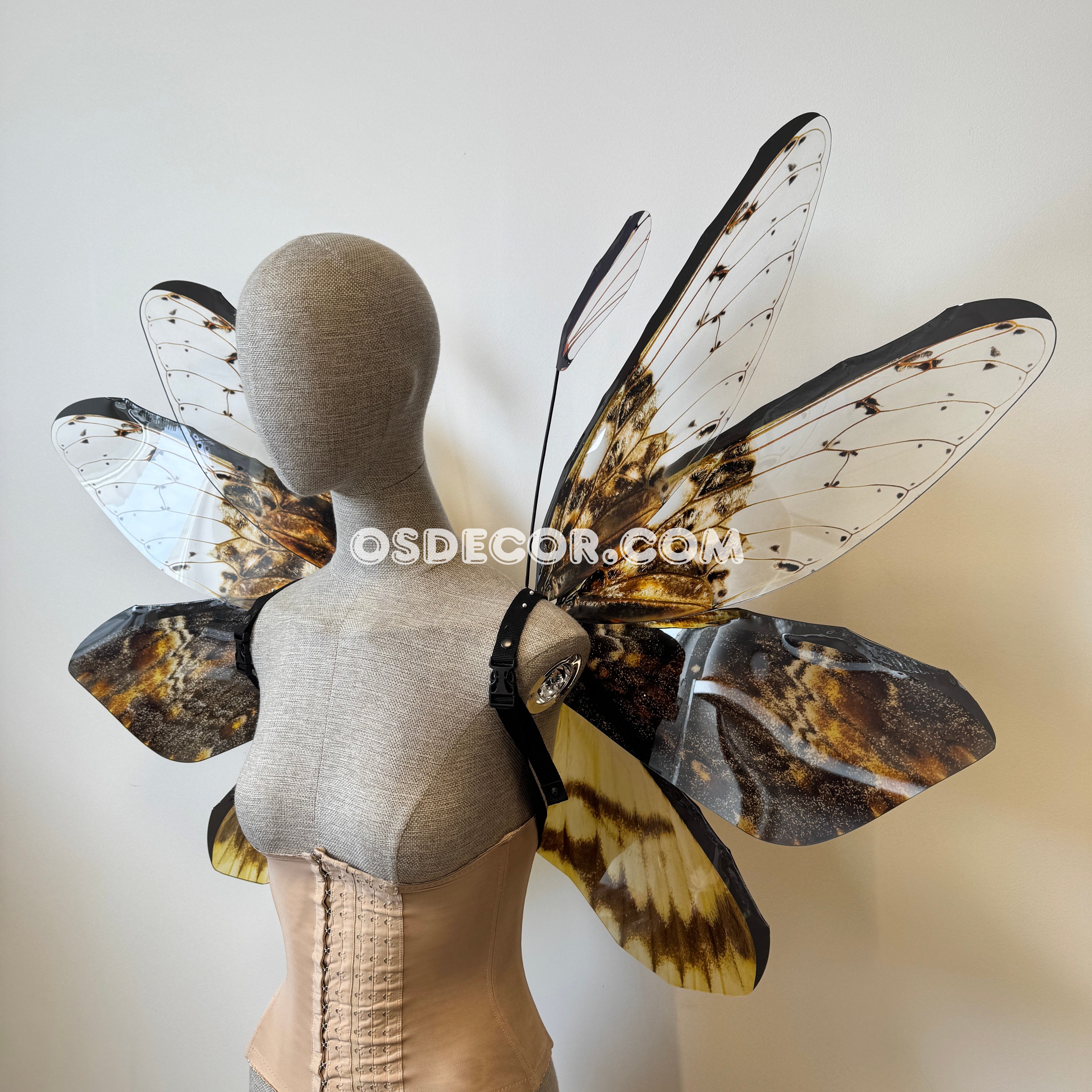 Orange Brown Moth Fairy Wings
