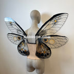 Black Butterfly Fairy Wings