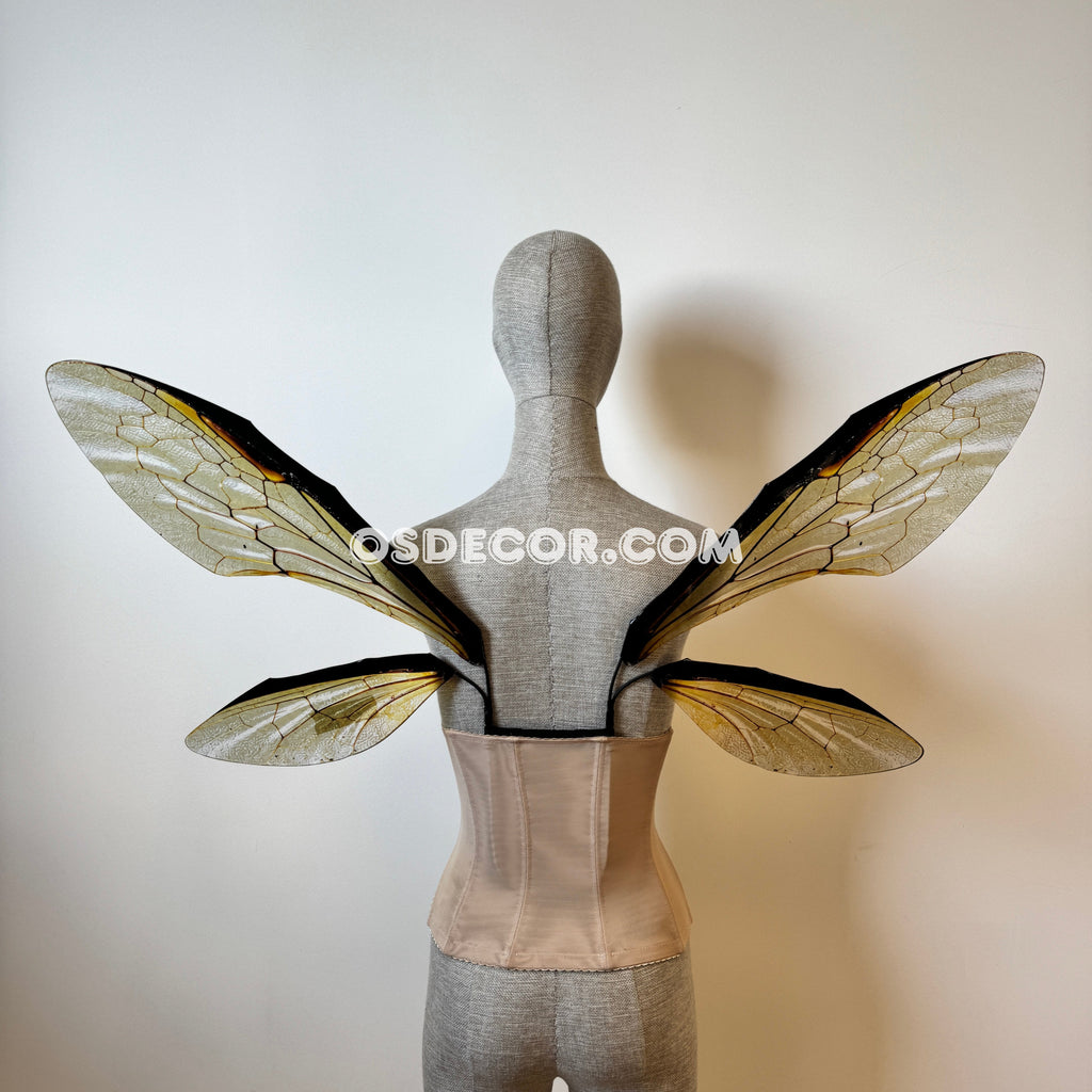 Grey Transparent Wings of a Fly (копия)