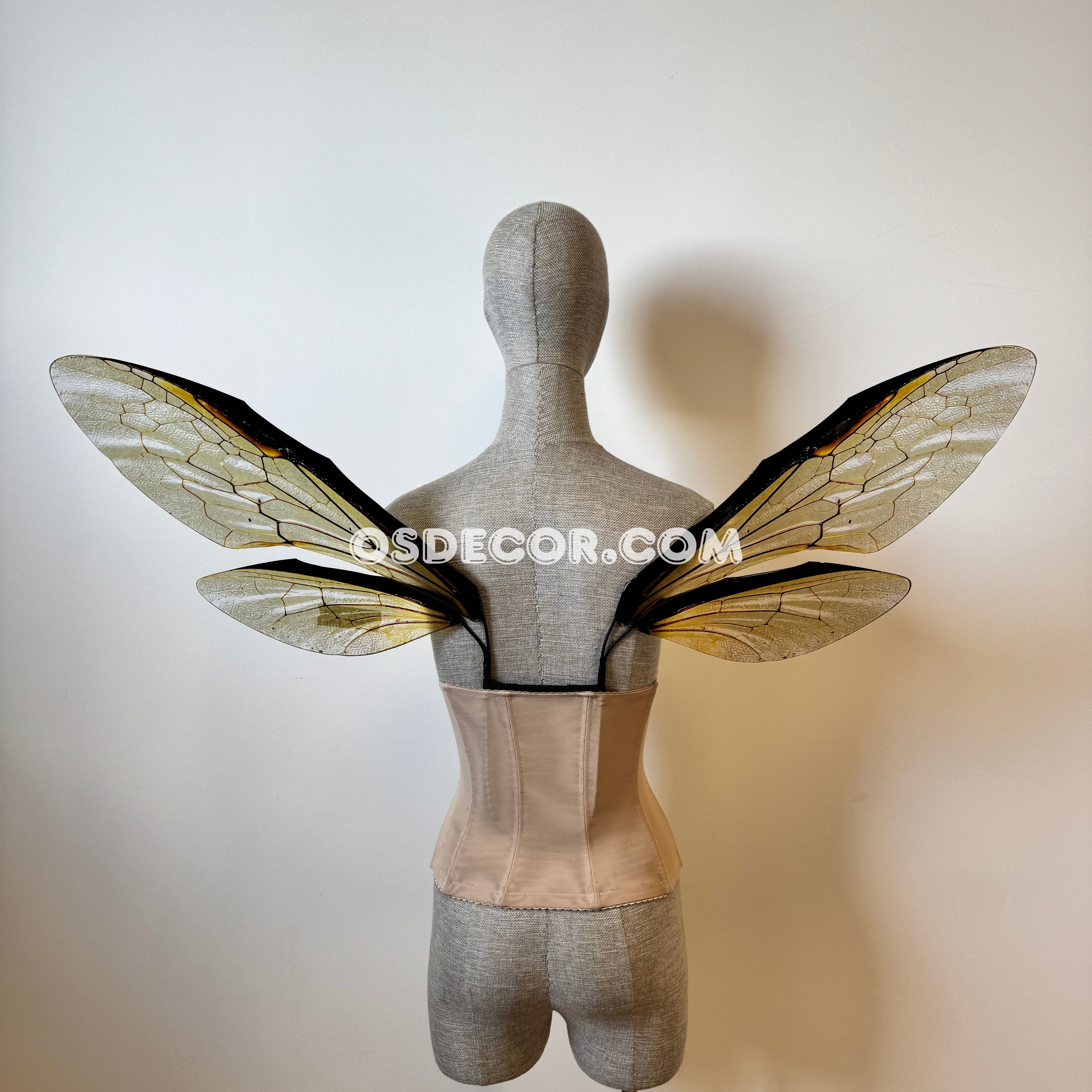 Grey Transparent Wings of a Fly (копия)