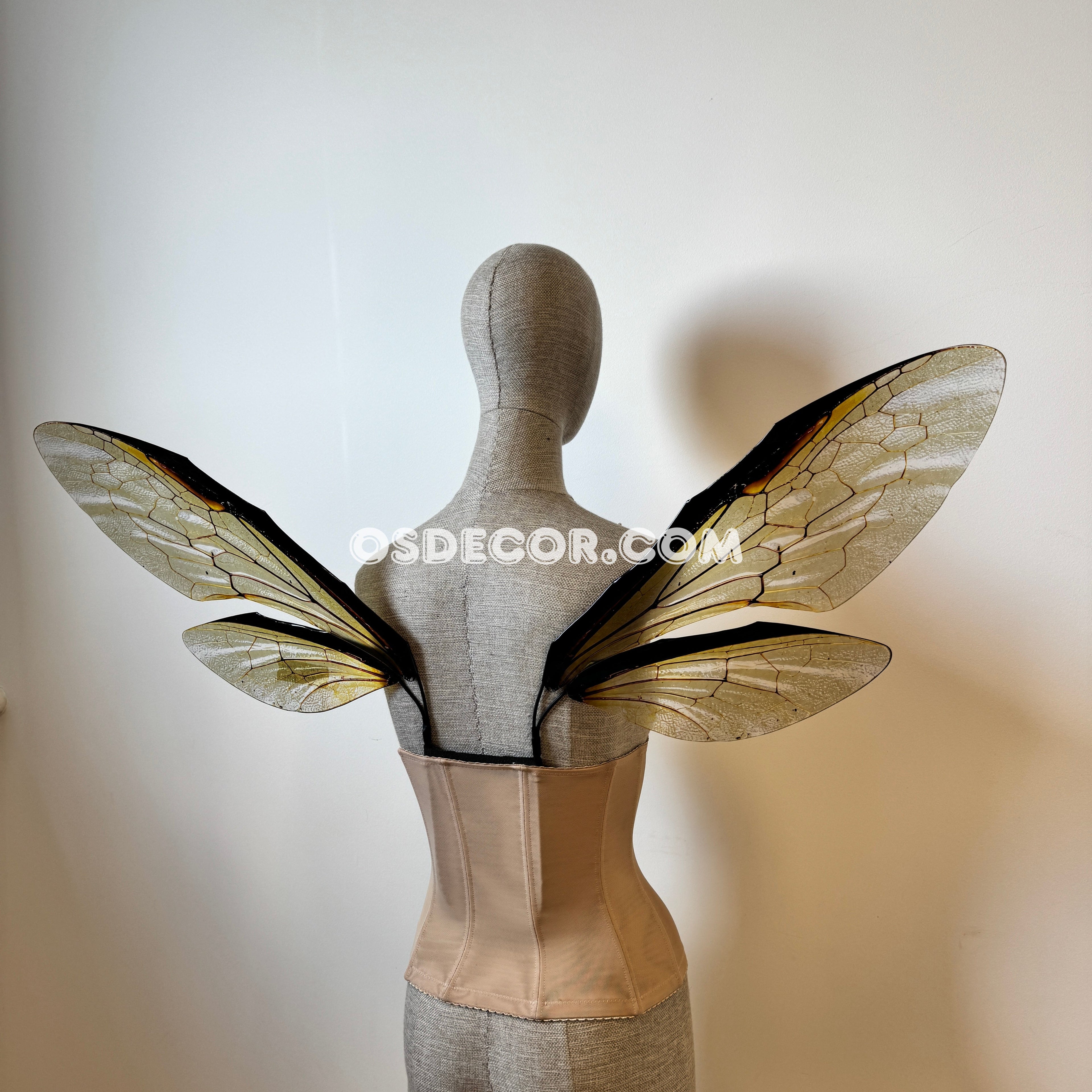 Grey Transparent Wings of a Fly (копия)