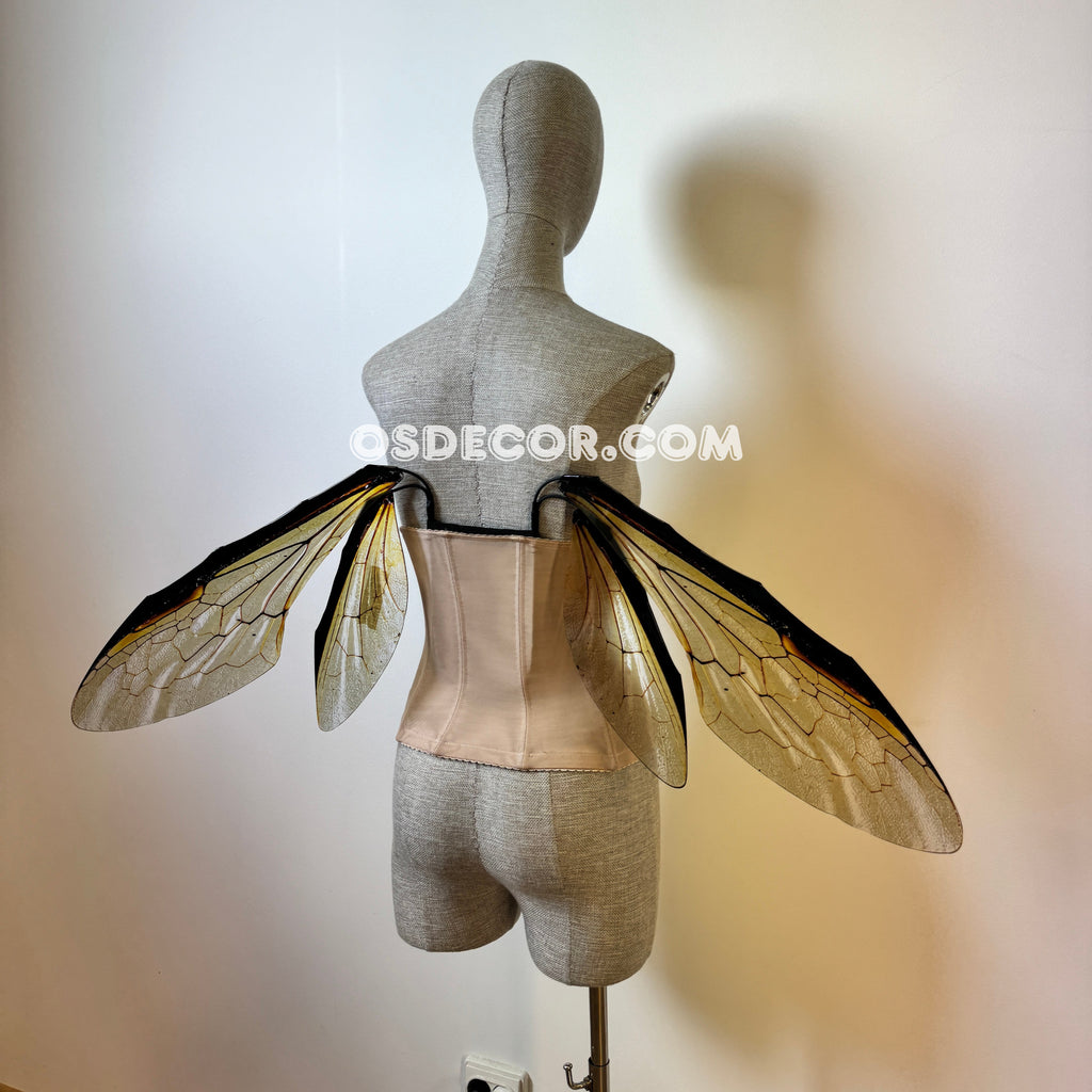 Grey Transparent Wings of a Fly (копия)