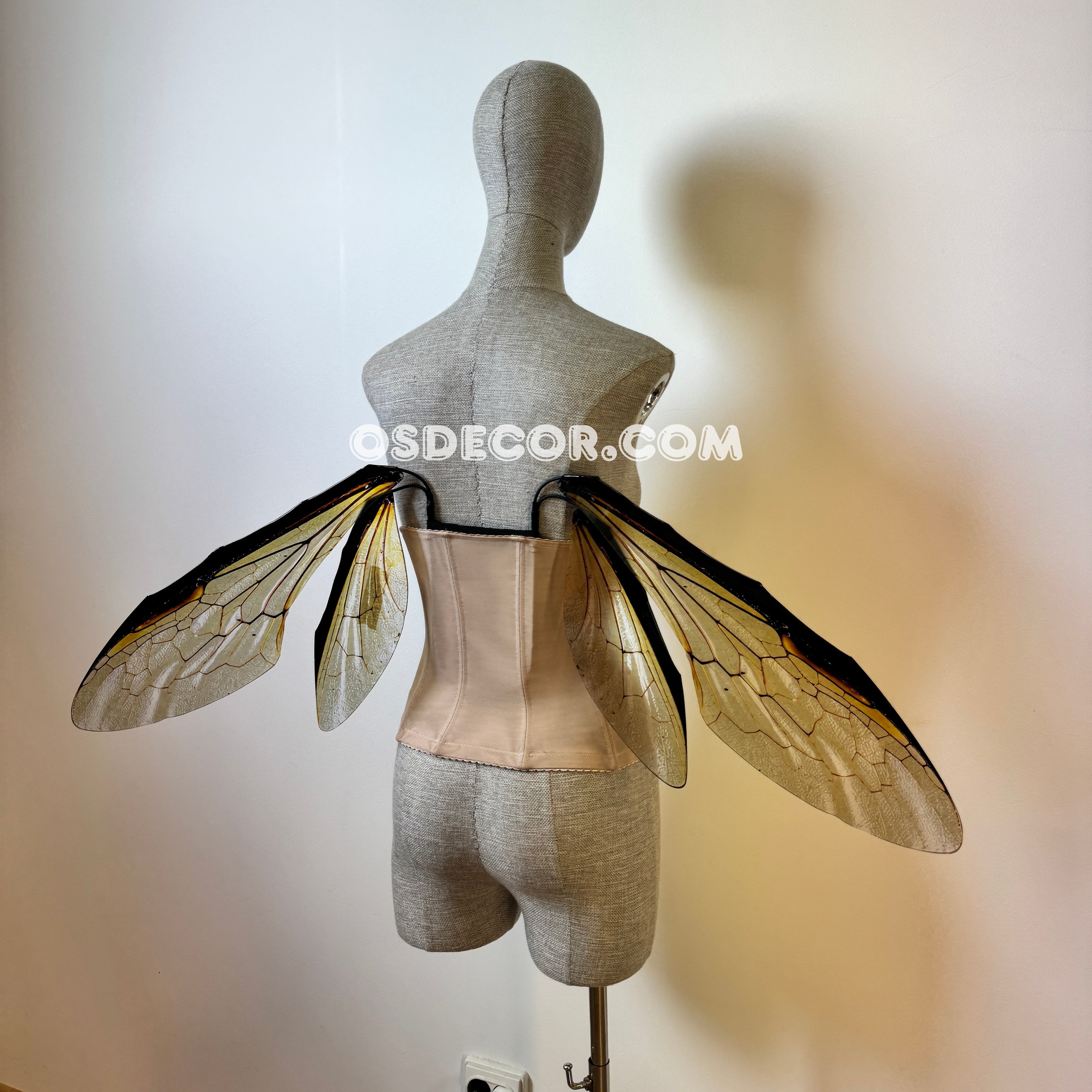 Grey Transparent Wings of a Fly (копия)