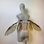 Grey Transparent Wings of a Fly (копия)