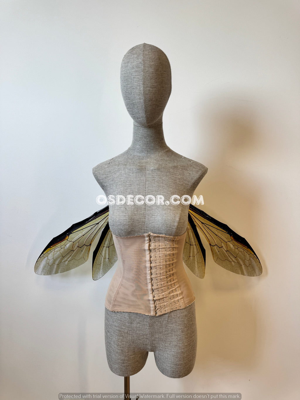 Grey Transparent Wings of a Fly (копия)