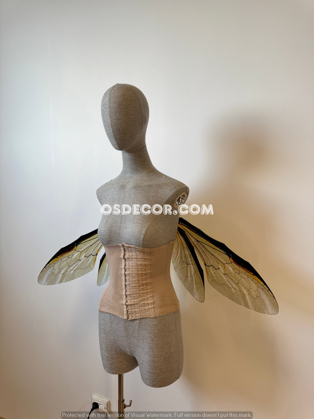 Grey Transparent Wings of a Fly (копия)