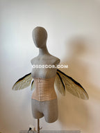 Grey Transparent Wings of a Fly (копия)