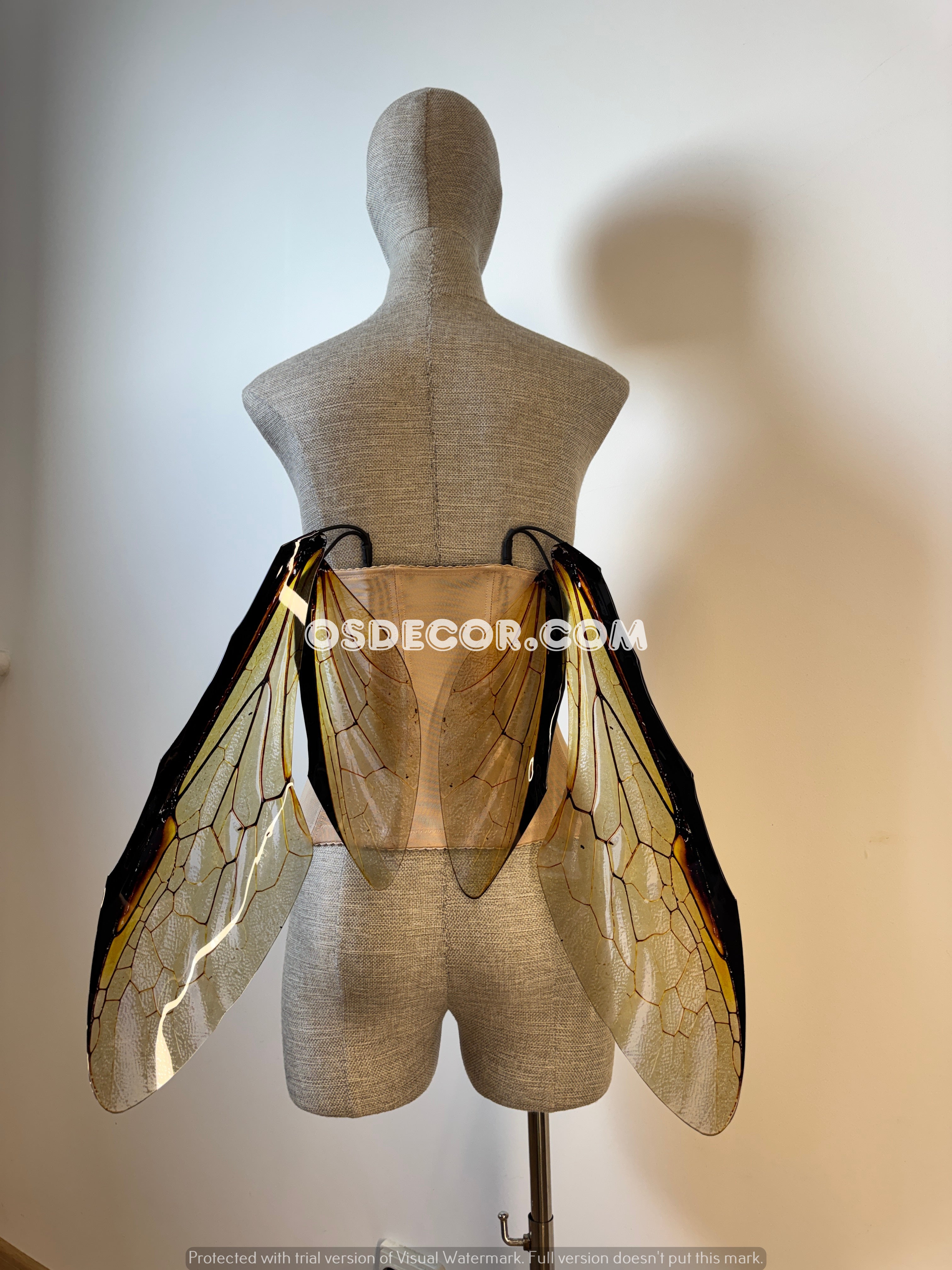 Grey Transparent Wings of a Fly (копия)