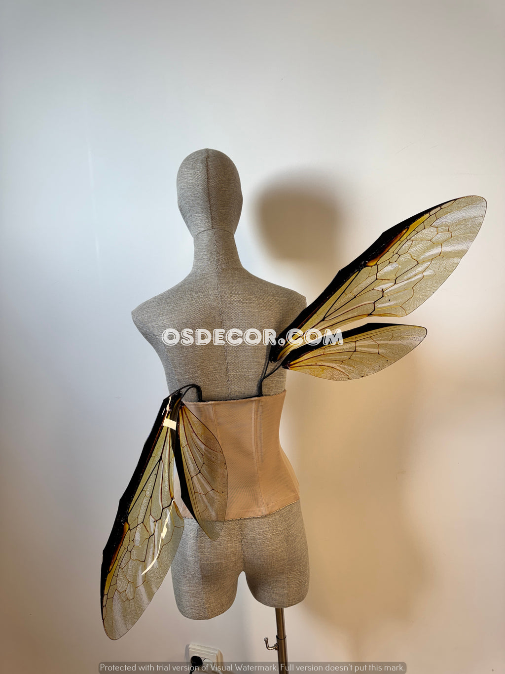 Grey Transparent Wings of a Fly (копия)