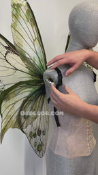 Green Brown Leaves Fairy Wings