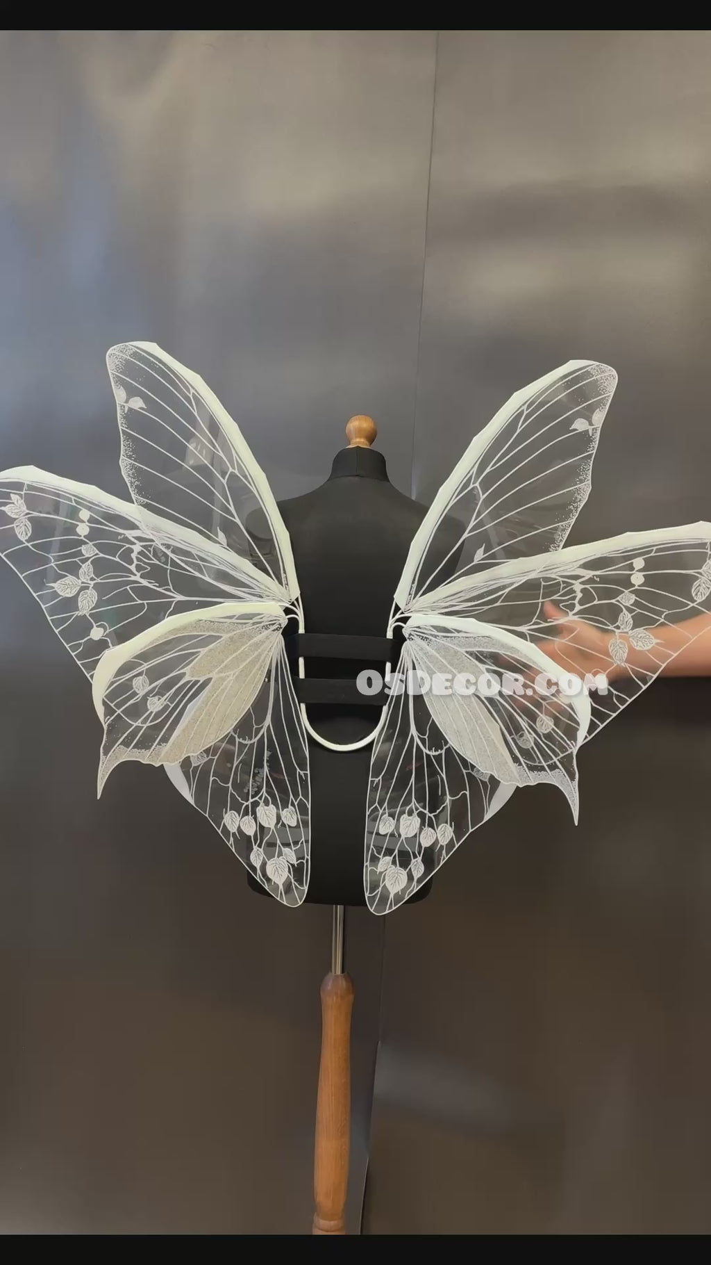 White Transparent Butterfly Wings