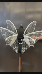 White Transparent Butterfly Wings