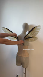 Grey Transparent Wings of a Fly (копия)