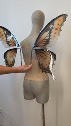 Orange Swallowtail Butterfly Fairy Wings