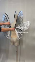 White Black Transparent Butterfly Wings