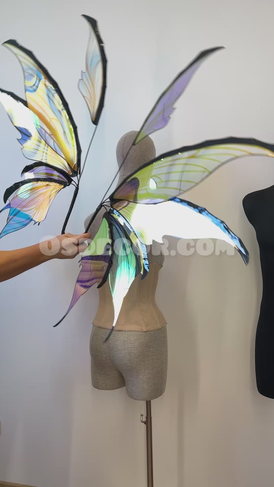 Blue Purple Fairy Wings