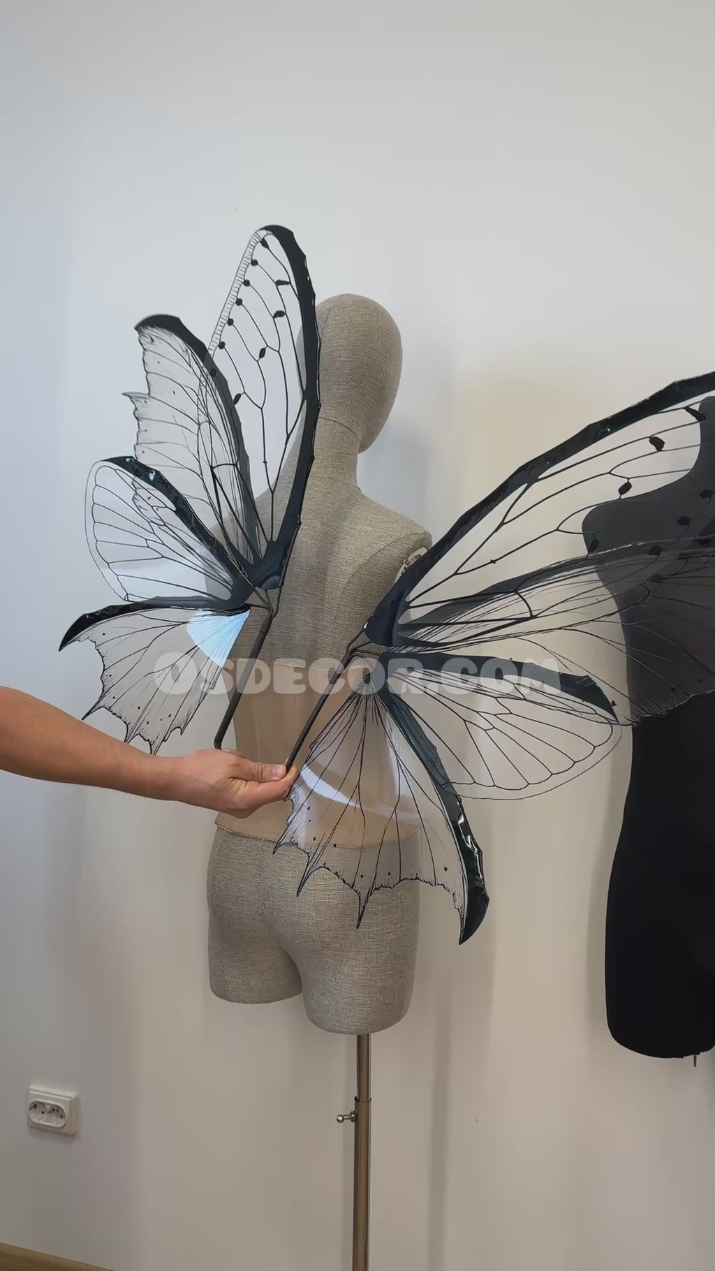 Transparent Black Fairy Wings
