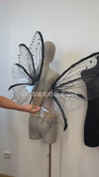 Transparent Black Fairy Wings