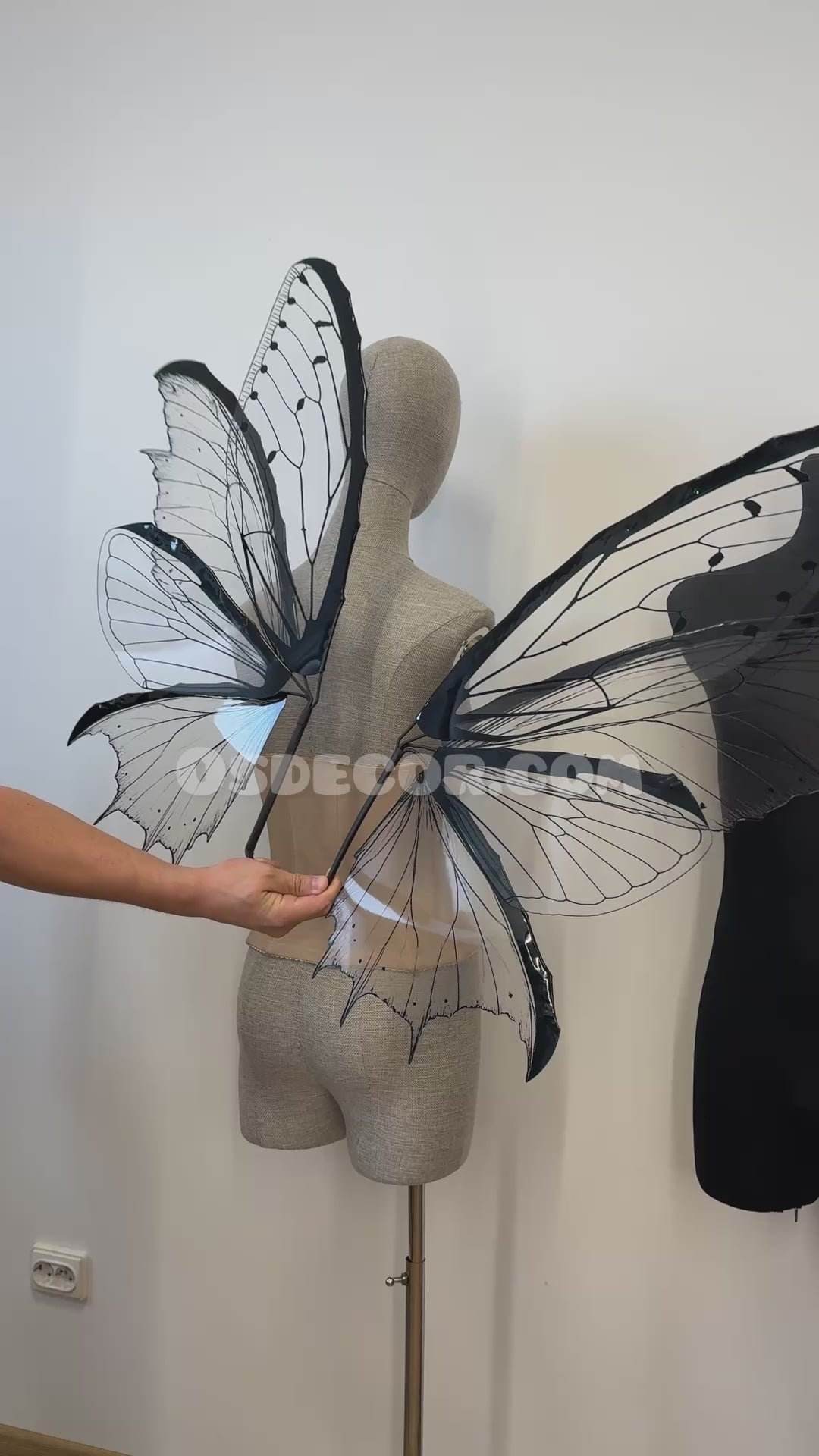 Transparent Black Fairy Wings